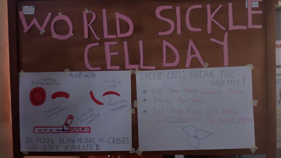 Sickle Cell Awareness : #BeASickleCellVoice… The Campaign and The Workshop.